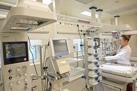 Оспа обезьян в Петербурге: Роспотребнадзор локализует угрозу