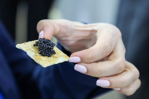 Не осетр, а имитация: петербуржцам подсовывают «черную икру» из Китая