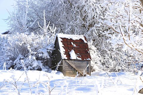 Деревня на краю России - до райцентра 450 км: как живут местные в сибирской глуши