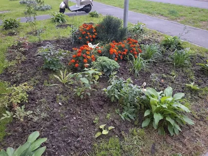 Городовой ру