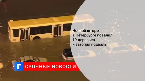В Петербурге сильный ветер и ливни привели к подтоплениям и падениям деревьев