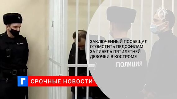 Заключенный пообещал отомстить педофилам за гибель пятилетней девочки в Костроме