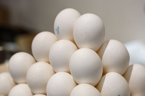 Яичный гигант Северо-Запада в кризисе: «Оредеж» потерял четверть выручки за год