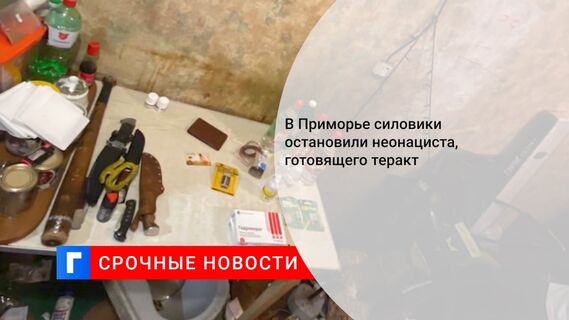 В Приморье силовики остановили неонациста, готовящего теракт 