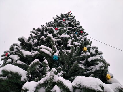 Где встретить оленей волшебника и увидеть ледяные чудеса, не потратив ни копейки: зимние секреты Петербурга на 27 и 28 декабря
