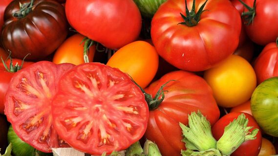 Никогда не храните помидоры рядом с этими продуктами: не успеете и глазом моргнуть, как испортятся