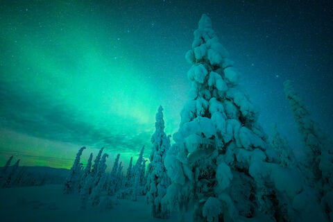 Если ваша фамилия оказалась в списке – возможно, ваши предки жили в Арктике: проверьте себя  