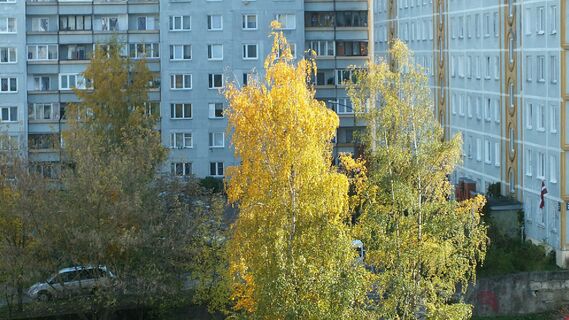 Неспроста все «панельки» в СССР были серыми: на то есть веская причина