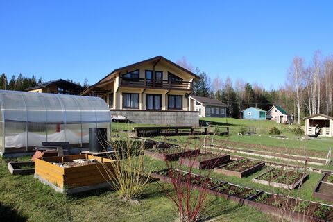 Полил в марте-апреле — до июля забыл о сорняках: дешманский раствор уничтожил траву с концами