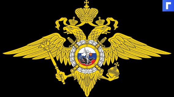 В МВД подтвердили обыски у главреда «Проекта» в рамках дела о клевете