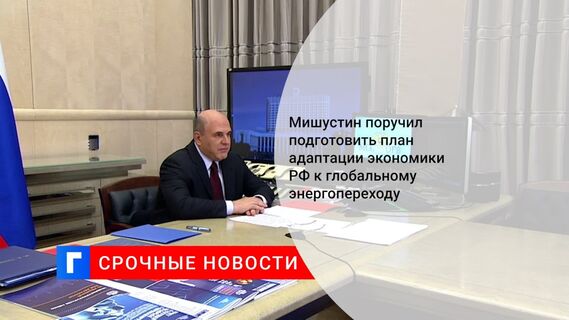 Мишустин поручил подготовить план адаптации экономики РФ к глобальному энергопереходу