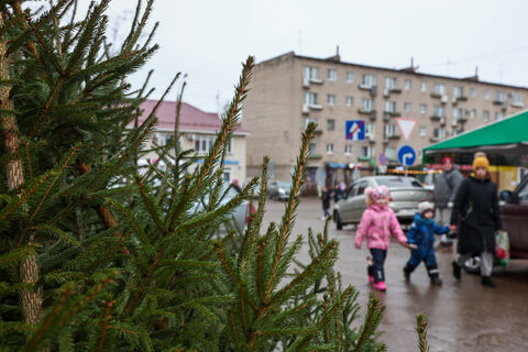 С 20 декабря в Петербурге заработают около 70 ёлочных базаров: явки и пароли