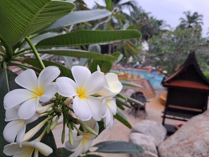 Лучше Сочи и КМВ — незаслуженно забытый курорт с полезным отдыхом — «райский уголок» с ценами как в СССР