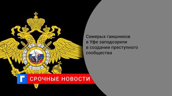 Семерых гаишников в Уфе заподозрили в создании преступного сообщества