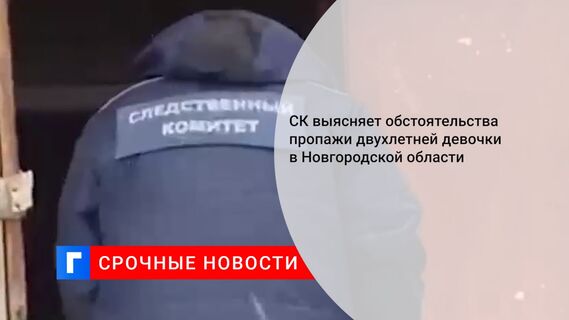 СК выясняет обстоятельства пропажи двухлетней девочки в Новгородской области