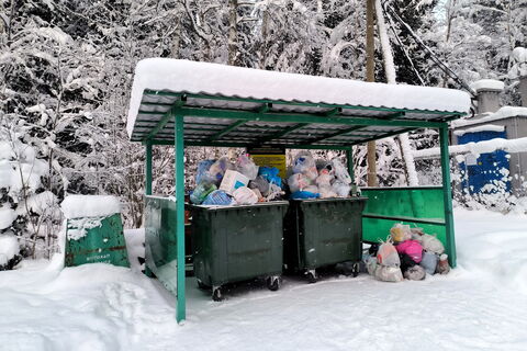Горы мусора: почему Московский проспект в Санкт-Петербурге превращается в свалку