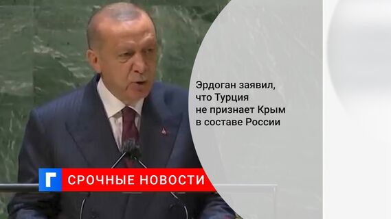 Эрдоган заявил, что Турция не признает Крым в составе России