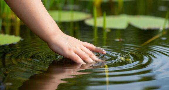 Вода не прощает ошибок: под Петербургом прогулка у реки обернулась гибелью ребенка