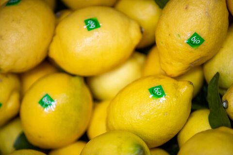 Не высохнет и не сгниет: как хранить лимон - хитрости умных хозяек для целого и надрезанного фрукта