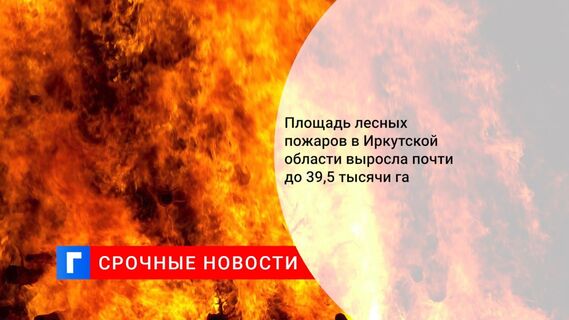 Площадь лесных пожаров в Иркутской области выросла почти до 39,5 тысячи га