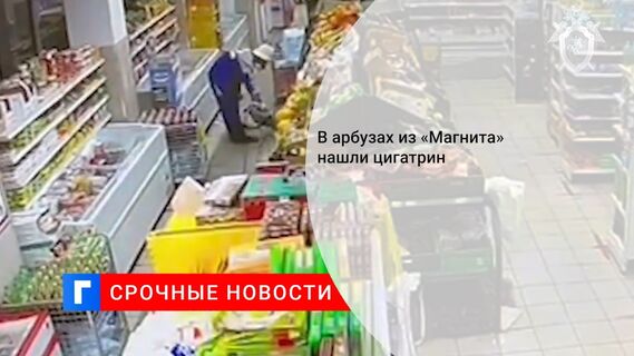 В арбузах из «Магнита» нашли цигатрин