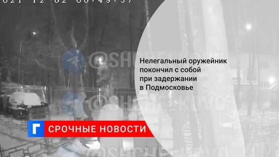 Нелегальный оружейник покончил с собой при задержании в Подмосковье