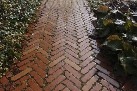 Мох и грязь с садовых дорожек исчезнут как по волшебству: 1 ложка на ведро — и мойка не нужна