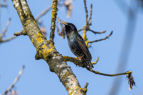 Народные приметы погоды на 16 марта: что можно и нельзя делать в Евтропиев день 