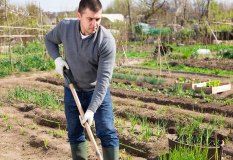 Что посадить в начале апреля: Не упустите момент по Лунному календарю дачника