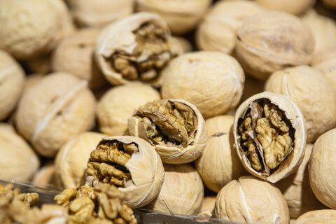 Витамин Е, магний и антиоксиданты: Роспотребнадзор о секрете для иммунитета