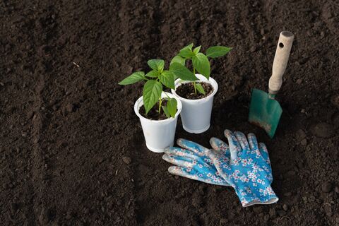 5 популярных ненужных покупок для дачников: деньги на ветер — использовать не будете