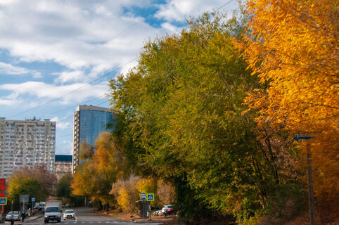 Городовой ру