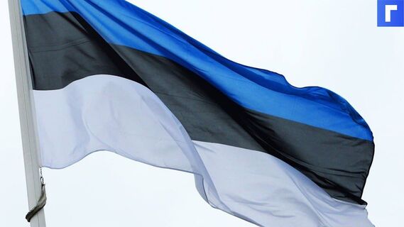 МИД Эстонии объяснил задержание консула в Петербурге «конфронтацией» России с Евросоюзом