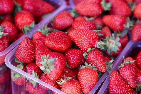 Опасная весенняя клубника: гастроэнтеролог раскрывает риски раннего урожая