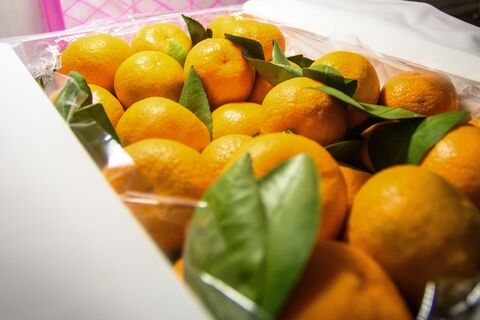 Мандариновая ловушка: почему любимый зимний фрукт может сыграть с вашим организмом злую шутку