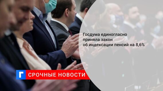 Госдума единогласно приняла закон об индексации пенсий на 8,6%