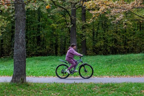 Наследие, которое снесут: почему Петербург так странно распоряжается своими «Зарослями»