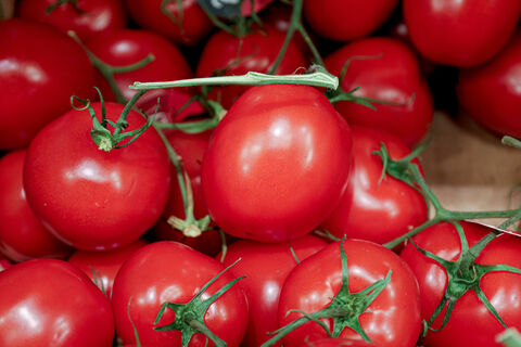 Петербуржцы шокированы: томаты догоняют «огуречный рекорд», цена взлетела до 1000 рублей
