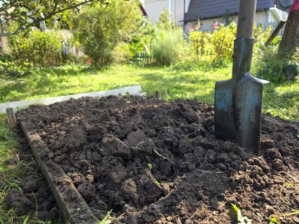 Хватит делать грядки из трухлявых досок: скупаю резиновую ленту на Ozon — даже спустя 5 лет новее новой