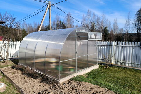 Горячая грядка и углекислый газ: когда в Ленинградской области высаживать рассаду в теплицу