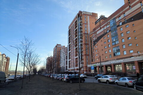 Парковка у больниц: почему бесплатные места для пациентов могут обернуться хаосом