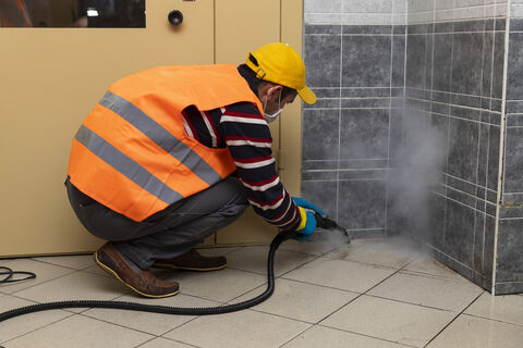 парогенератор