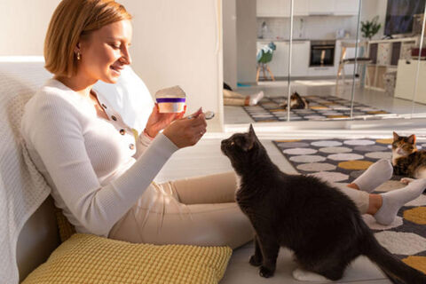 Ваша кошка получит психотравму и впадет в депрессию: опасность безобидной игрушки – эксперты предостерегают