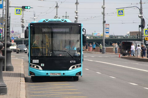 автобусы, перевозки, петербург