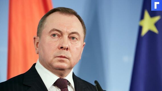 МИД Белоруссии заявил о подготовке провокаций российскими олигархами