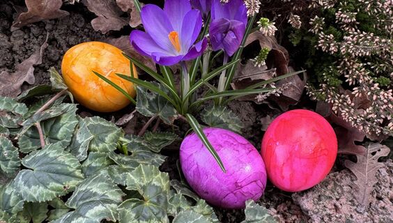 Красить этим яйца на Пасху - нельзя: 3 вредных средства из кухонного шкафчика