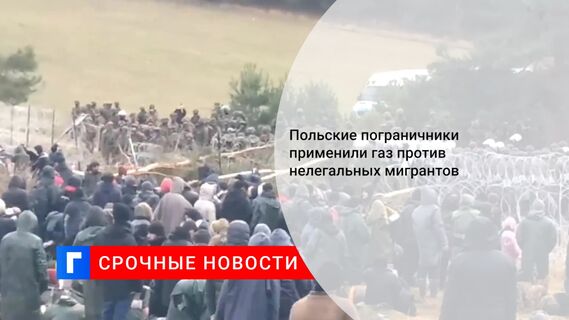 Польские пограничники применили газ против нелегальных мигрантов