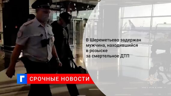 В Шереметьево задержали мужчину, находившегося в розыске за ДТП с четырьмя погибшими