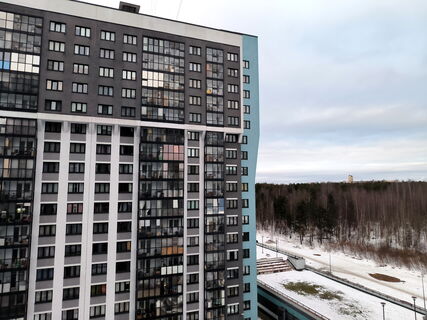 Магистраль М-1 в Петербурге: старт общественных слушаний в Приморском районе