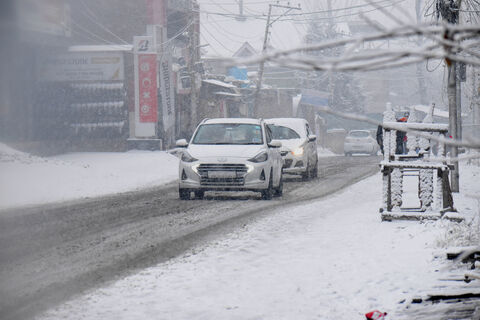Впереди только Москва: почему Петербург вошел в топ-3 городов с самыми аккуратными водителями